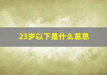 23岁以下是什么意思