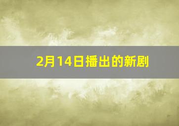 2月14日播出的新剧