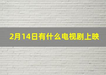 2月14日有什么电视剧上映