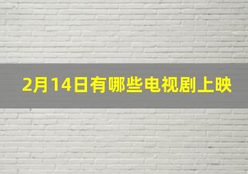 2月14日有哪些电视剧上映