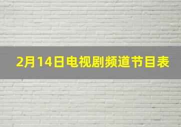 2月14日电视剧频道节目表