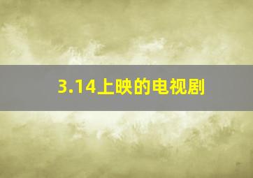 3.14上映的电视剧