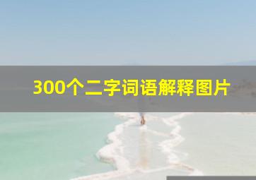 300个二字词语解释图片