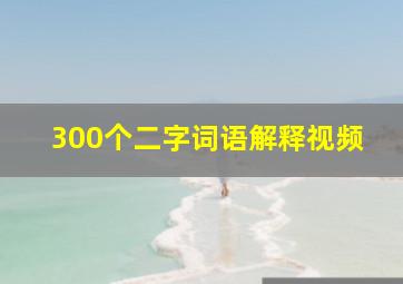 300个二字词语解释视频