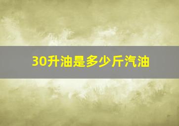 30升油是多少斤汽油