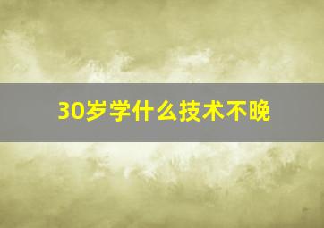 30岁学什么技术不晚