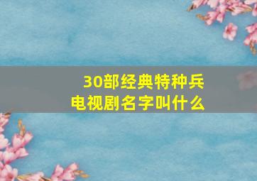 30部经典特种兵电视剧名字叫什么