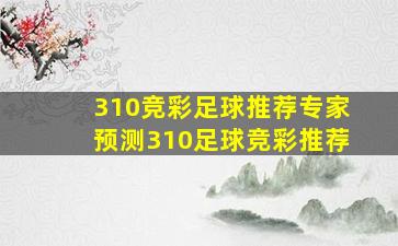 310竞彩足球推荐专家预测310足球竞彩推荐