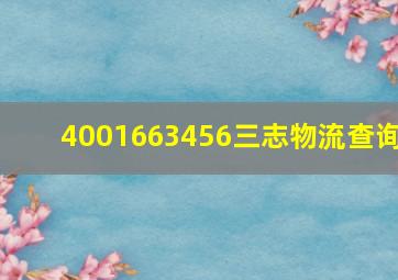 4001663456三志物流查询