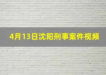 4月13日沈阳刑事案件视频