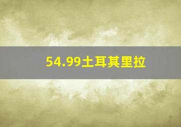 54.99土耳其里拉