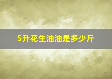 5升花生油油是多少斤