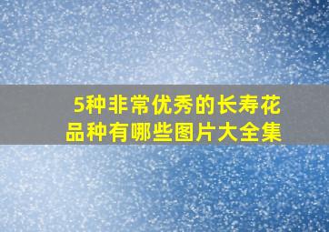 5种非常优秀的长寿花品种有哪些图片大全集