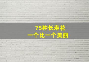 75种长寿花一个比一个美丽