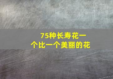 75种长寿花一个比一个美丽的花