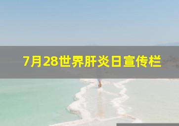 7月28世界肝炎日宣传栏