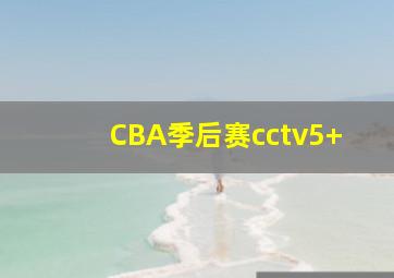 CBA季后赛cctv5+