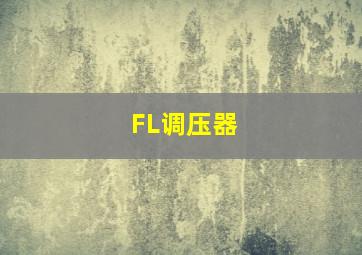 FL调压器