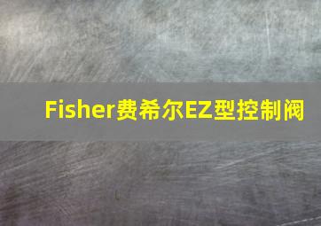 Fisher费希尔EZ型控制阀