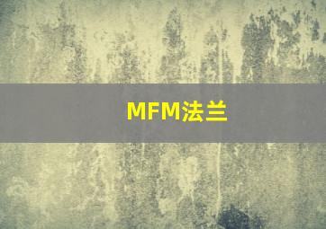 MFM法兰