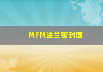 MFM法兰密封面