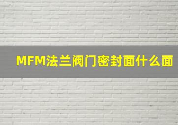 MFM法兰阀门密封面什么面