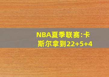 NBA夏季联赛:卡斯尔拿到22+5+4