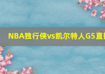 NBA独行侠vs凯尔特人G5直播