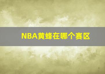 NBA黄蜂在哪个赛区