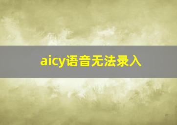 aicy语音无法录入