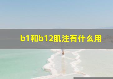 b1和b12肌注有什么用