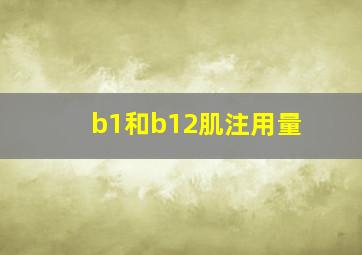 b1和b12肌注用量