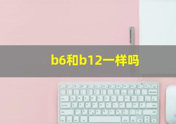 b6和b12一样吗