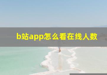 b站app怎么看在线人数