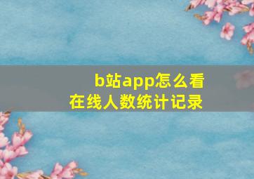 b站app怎么看在线人数统计记录