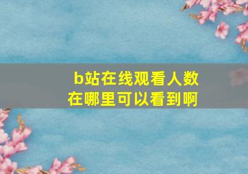 b站在线观看人数在哪里可以看到啊