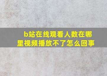 b站在线观看人数在哪里视频播放不了怎么回事