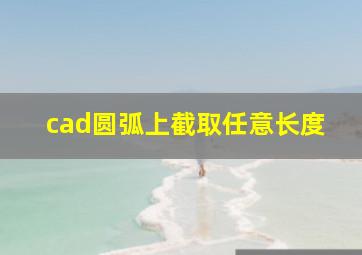 cad圆弧上截取任意长度