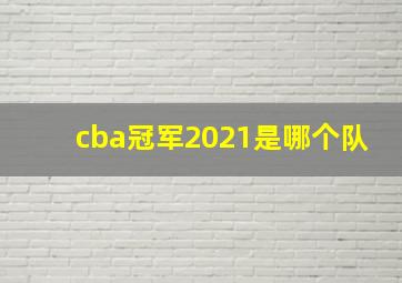 cba冠军2021是哪个队