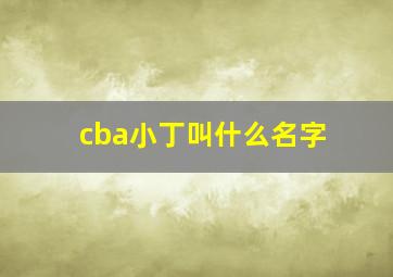 cba小丁叫什么名字