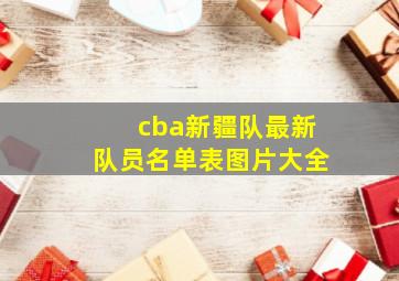 cba新疆队最新队员名单表图片大全