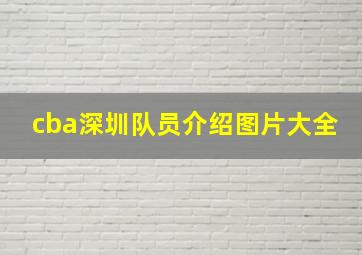 cba深圳队员介绍图片大全