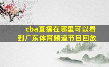 cba直播在哪里可以看到广东体育频道节目回放