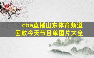 cba直播山东体育频道回放今天节目单图片大全