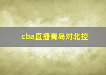 cba直播青岛对北控