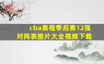 cba赛程季后赛12强对阵表图片大全视频下载