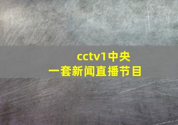 cctv1中央一套新闻直播节目