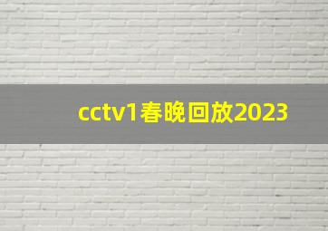 cctv1春晚回放2023