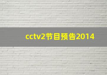 cctv2节目预告2014