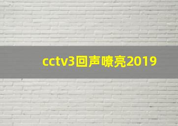 cctv3回声嘹亮2019